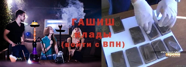 сатива Покачи