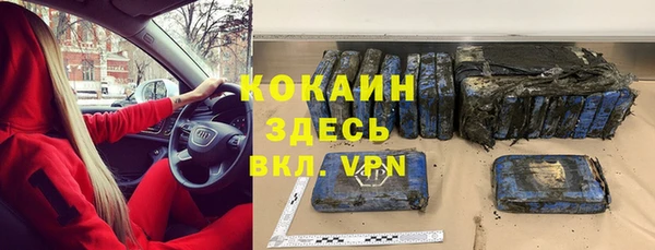 сатива Покачи