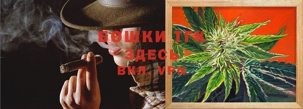 сатива Покачи