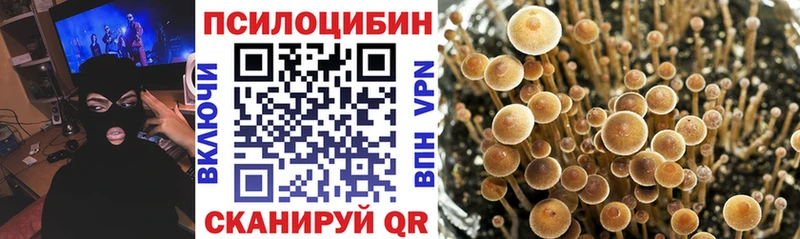 Галлюциногенные грибы MAGIC MUSHROOMS  дарнет шоп  KRAKEN как войти  Черепаново 